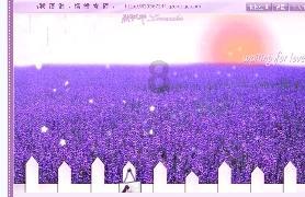 小猫钓鱼开船版最新版下载