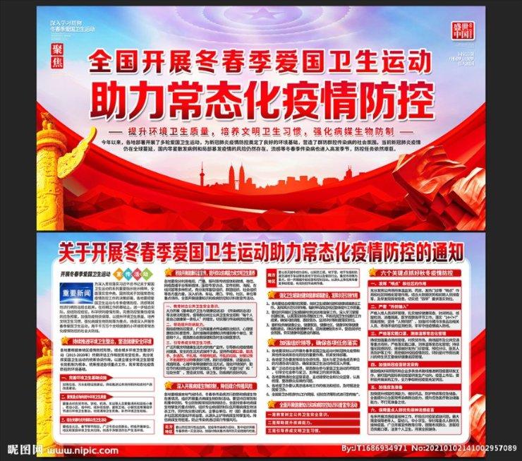 拯救受伤的猫