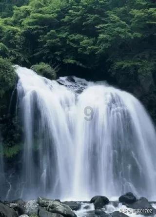 燃烧吧大脑装瓶子游戏