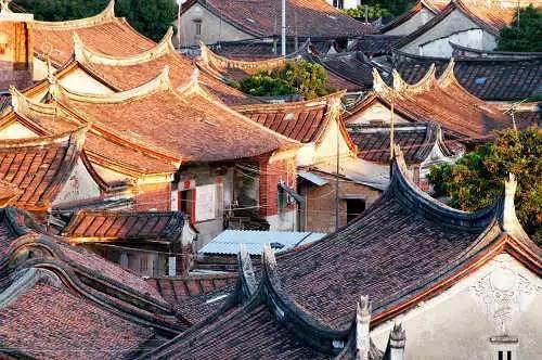 龙年寻龙丨新中国第一龙,为啥叫“青岛龙”?