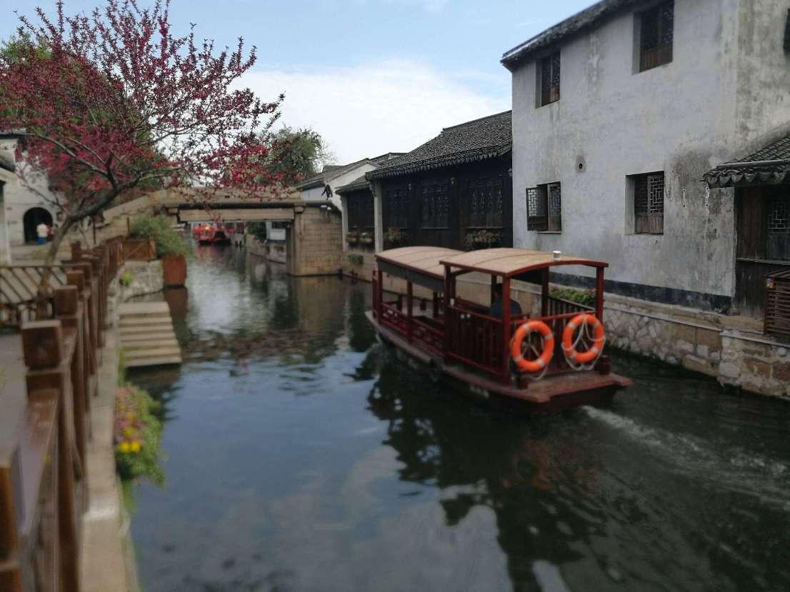 动物帮帮忙保卫家园